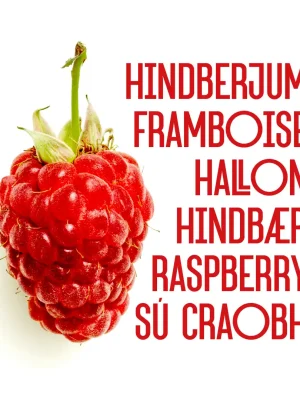 fonts-fluid_S002-1a